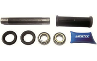 Kit Reparo do Braço Oscilante Traseiro com Rolamento para Fiat Palio Weekend, Tipo e Brava
