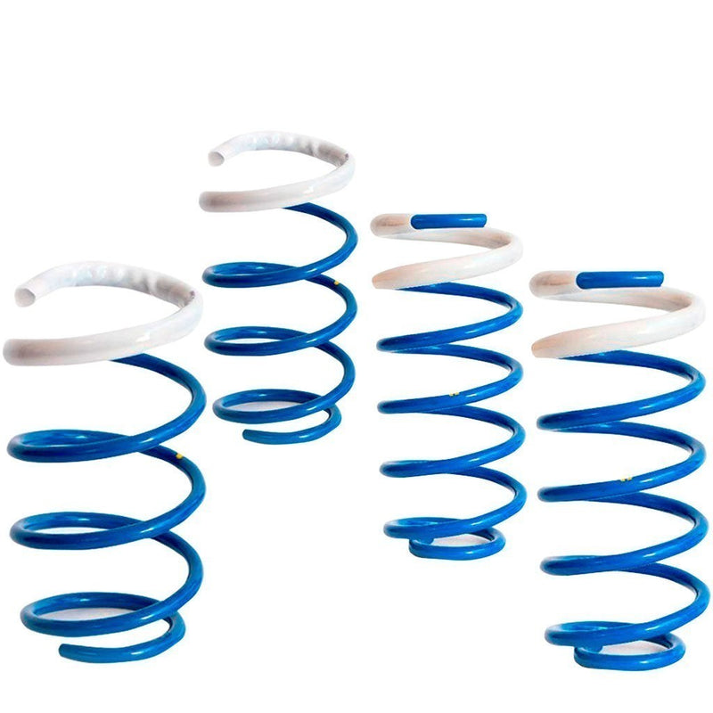 Molas Esportivas Ford Focus - Heron Suspensões